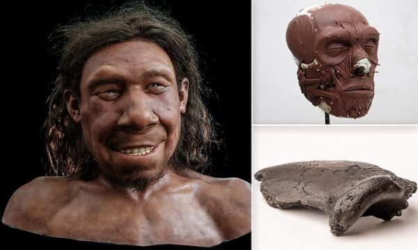 فيديو وصور: علماء يعيدون بناء وجه إنسان عاش ومات قبل 70 ألف سنة Img_7706-600x360