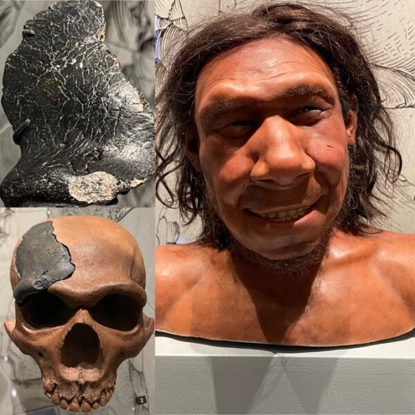 فيديو وصور: علماء يعيدون بناء وجه إنسان عاش ومات قبل 70 ألف سنة Img_7708-600x600