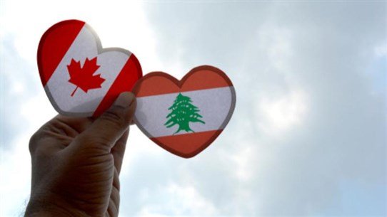 816 canada Cedar News الاحد