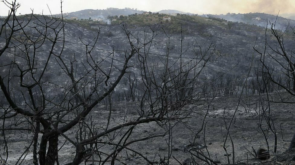 حرائق الغابات في الجزائر تتسبب في وفاة 26 شخصا