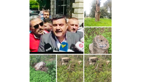 شادي السيد طالب القضاء بالتحقيق مع اورور فغالي.. لأي سبب؟