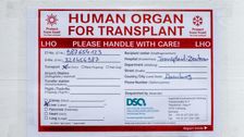 Massachusetts Bill Would Allow Prisoners To Donate Organs For Reduced Sentences