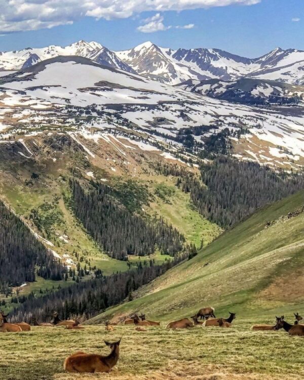Colorado mountains