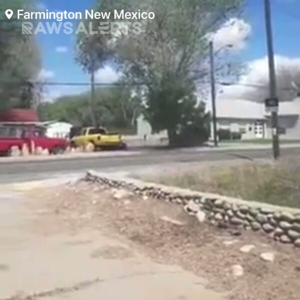 New Mexico: New footage shows a male suspect that killed 4 people and injured 2 police officers 1 New Mexico: New footage shows a male suspect that killed 4 people and injured 2 police officers