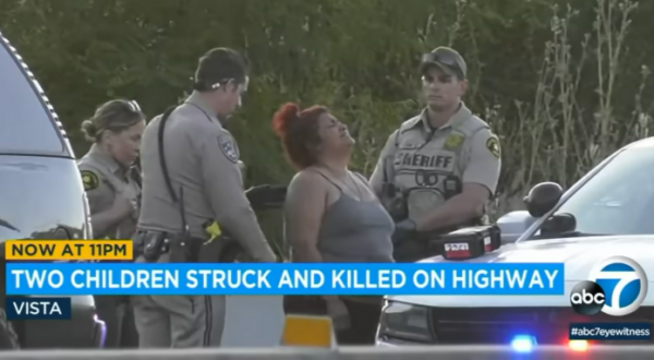 Two children were killed when they ran into lanes of traffic on a freeway near San Diego 1 Two children were killed when they ran into lanes of traffic on a freeway near San Diego