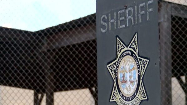 one shot, 1 in custody after Sunday shooting in Georgetown County 1 shooting in Georgetown