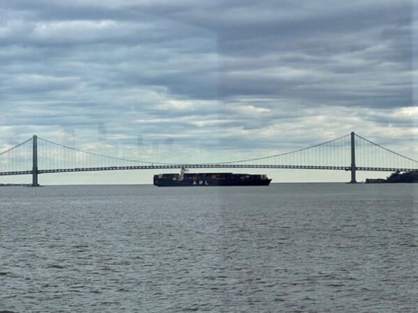 Verrazzano bridge