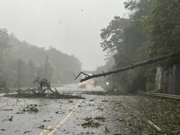 TENNESSEE: More than 50 people were sent to the roof of the Unicoi