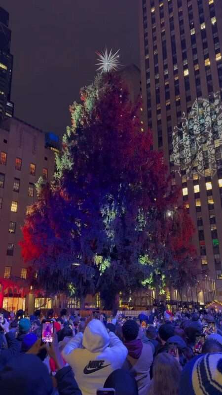 Rockefeller Center Christmas Tree 