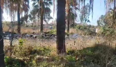 الجيش يفجر صواعق وقذائف قديمة العهد في بؤرة مهجورة على طريق الميناء - طرابلس 1 الميناء طرابلس
