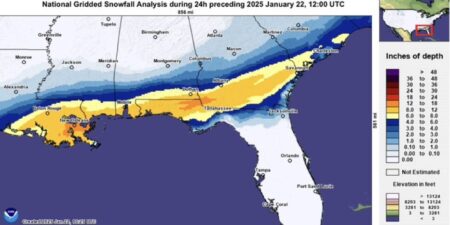 the snowfall analysis of The historic gulf coast winter storm Feature image