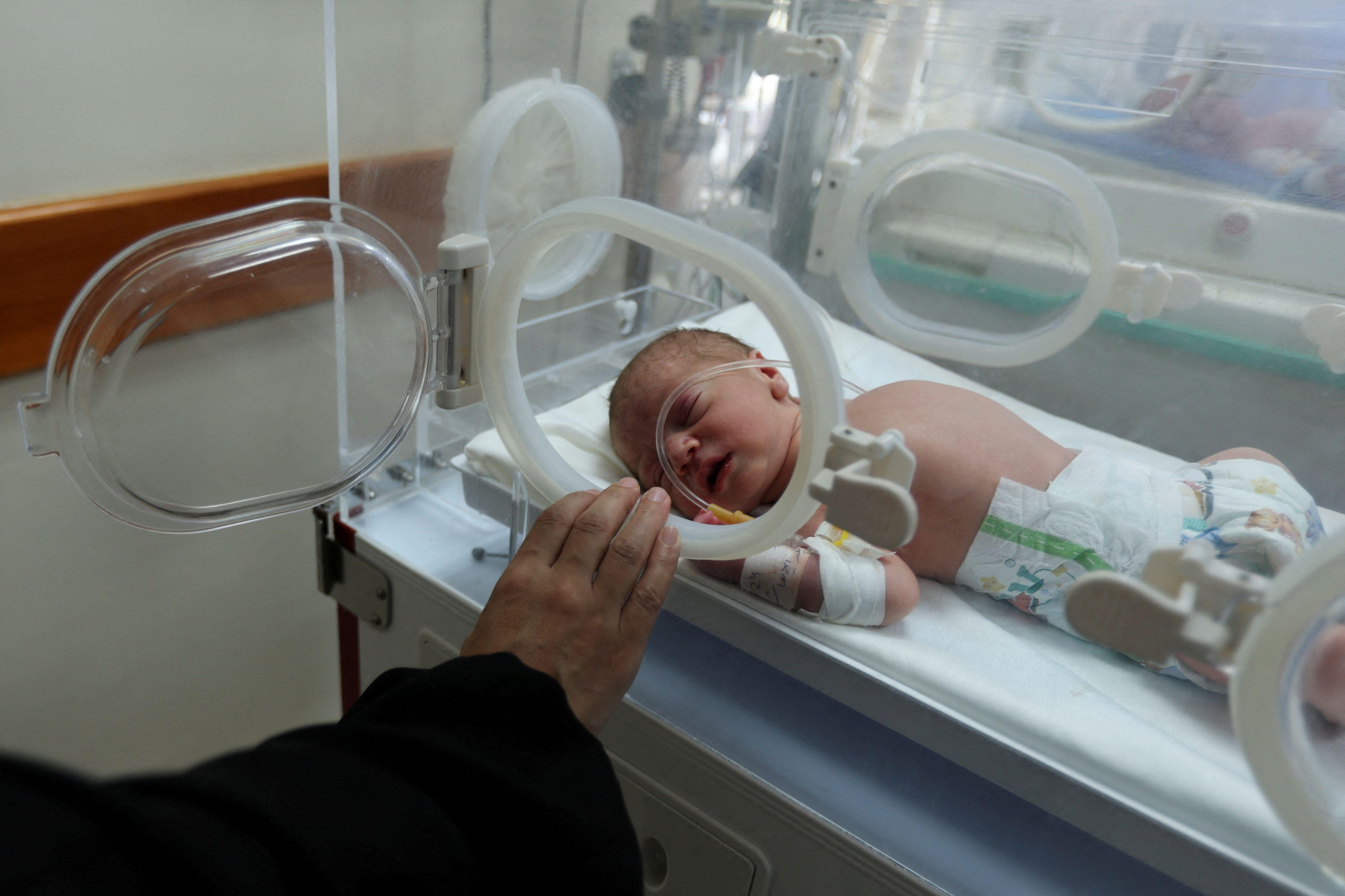 الطفل الفلسطيني مالك ياسين، الذي أنقذ من رحم والدته علا الكرد بعد مقتلها في غارة إسرائيلية، يرقد في حاضنة بمستشفى في وسط قطاع غزة.