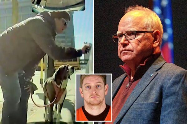 An employee of Tim Walz was reportedly busted for allegedly causing approximately $20,000 in damage while vandalizing Teslas 1 An employee of Tim Walz was reportedly busted for allegedly causing approximately $20,000 in damage while vandalizing Teslas