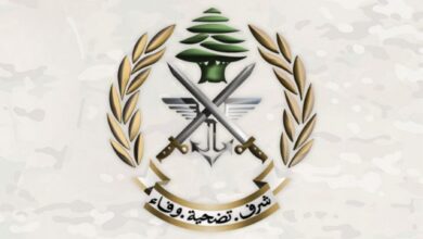 الجيش يضرب بيد من حديد: توقيف ٢٣ شخصًا بينهم ٢٠ سورياً ومداهمات في الشراونة وضبط أسلحة ومخدرات