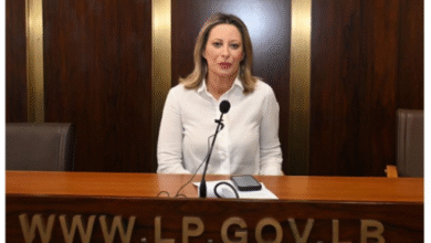 غادة أيوب تطرح سؤالاً حول تعاقد وزارة المالية مع شركات لتحصيل الضرائب دون عقود قانونية