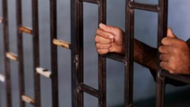 ميشال موسى يعرض مع الصليب الأحمر سبل التخفيف من الاكتظاظ في السجون وتسريع ملف المفقودين