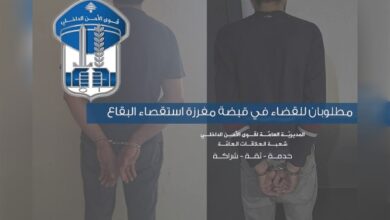 في قبضة العدالة: توقيف فلسطيني وسوري مطلوبَين بجرائم سرقة وضبط مخدرات في البقاع