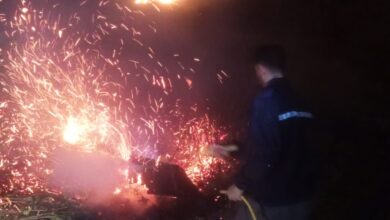 بالفيديو: الدفاع المدني يستنفر لإخماد 72 حريقاً في يوم واحد.. حرائق مدمّرة ورياح عاتية تجتاح المناطق اللبنانية
