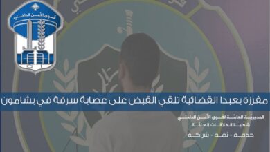عصابة سرقة في قبضة مفرزة بعبدا.. استرجاع مجوهرات وأموال بعد مداهمة فندق في الجديدة