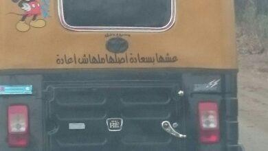 في لبنان.. سائق توك توك يخطف أميرة