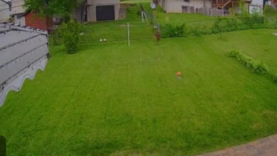 VIDEO: Tornado Siren Sounds in Mehlville, Missouri: Storm Impact Updates