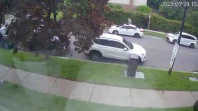 VIDEO: 13-Year-Old Boy Arrested for Fatal Stabbing of Elderly Woman in Ontario
