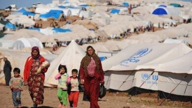 الخولي يحذر: زيادة أعداد النازحين السوريين تهدد التوازن الديموغرافي وتفاقم الأزمات