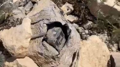 الجيش يعثر على جهاز تجسس مزوّد بكاميرا في خراج بلدة يارون