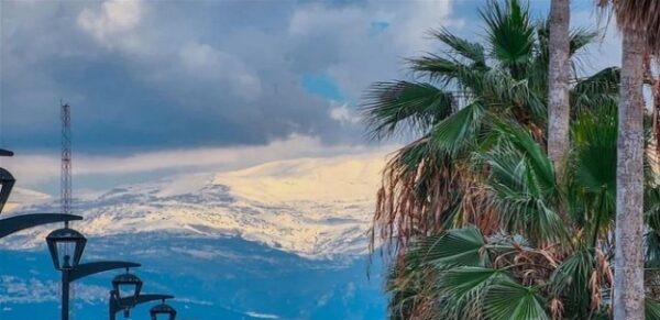 طقس لبنان: ضباب كثيف وانخفاض بالحرارة الأحد في الجبال والداخل 1 طقس لبنان