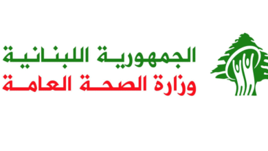 سبعة جرحى في الغارة على بيت ليف