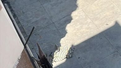 وفـ.ـاة سيدة إثر سقوط مروع من الطابق السادس في جبل البداوي