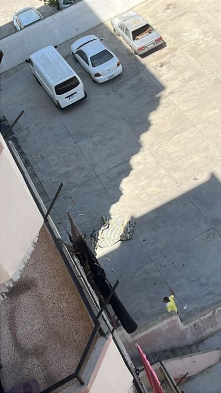 وفـ.ـاة سيدة إثر سقوط مروع من الطابق السادس في جبل البداوي 1 جبل البداوي