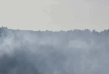 النيران تلتهم أحراج بكيفا وسط جهود حثيثة لإخمادها