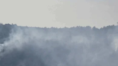 النيران تلتهم أحراج بكيفا وسط جهود حثيثة لإخمادها