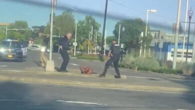 VIDEO: At least 11 people stabbed at a homeless men’s shelter in Salem, Oregon