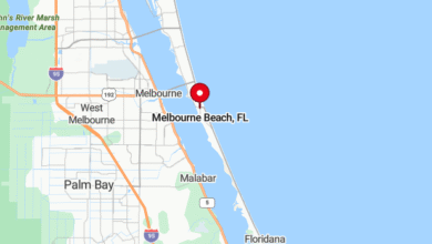 VIDEO: Aircraft Crashes Off Melbourne Beach, FL – 2 People and a Dog Pulled from Water