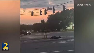 Good Samaritan Stops Two Violent Carjackings in Georgia