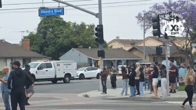 VIDEO: Tear gas fired at home depot ICE raids in Paramount, CA