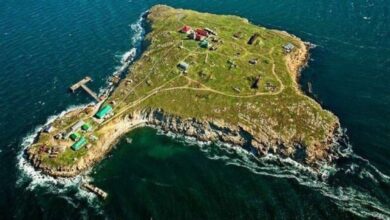 Russian missiles targeted Snake Island in the Black Sea