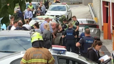 Stolen Car Drives Through Melbourne Shopping Centre to Evade Police