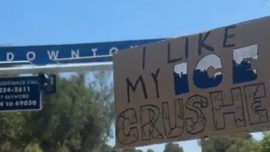 VIDEO: Protesters Converge at Dodger Stadium as DHS Agents Stage Nearby
