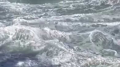VIDEO: Impresionante rescate de un bañista que se estaba ahogando en la playa de Itacoatiara, en Niterói, Brasil