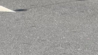 Police Officer Shot in Downtown Santa Monica, California, Suspect Still at Large