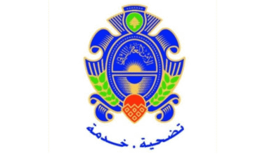 الأمن العام يعلن تسهيلات للسوريين والفلسطينيين الراغبين بالمغادرة من لبنان دون غرامات