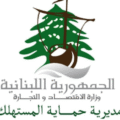 مراقبو حماية المستهلك في جولات تفتيشية بالنبطية.. مخالفات ومحاضر ضبط