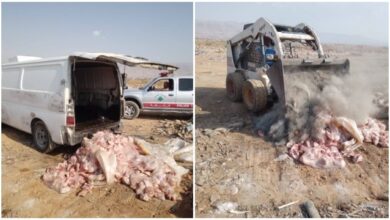 الدجاج الفاسد في القاع: جمارك تصادر 500 كلغ مهرّبة وتحذيرات للمواطنين