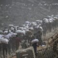 تصريحات أممية لا تزال تحذر من عواقب الجوع في غزة بعد تخفيف إسرائيلي للقيود على دخول المساعدات