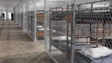Video: Florida’s Alligator Alcatraz is almost ready