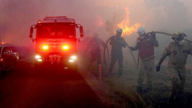 Video: Firefighting Teams Struggle to Contain Major Wildfire in Çeşme District of İzmir, Turkey Amid Strong Winds