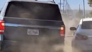 Video: Anti-ICE Protesters Hurl Rocks at Federal Agents’ Vehicles After Raid on Camarillo Farm